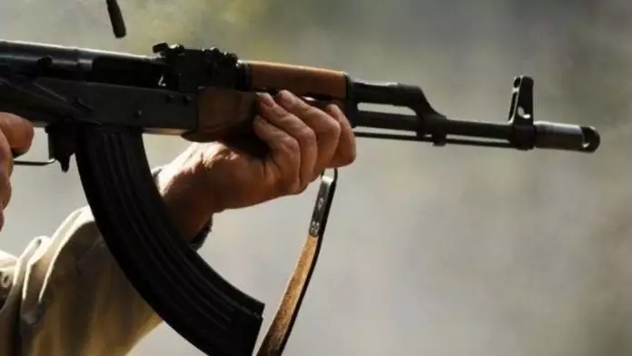 Шұғыл: Бурабайда қаңғыбас иттерді атамын деген қызметкер адам атты