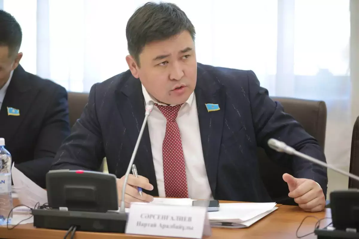 Жаңа Конституция қазақ тілінде түсінікті, нақты жазылған жаңа құжатқа айналды - Нартай Сәрсенғалиев