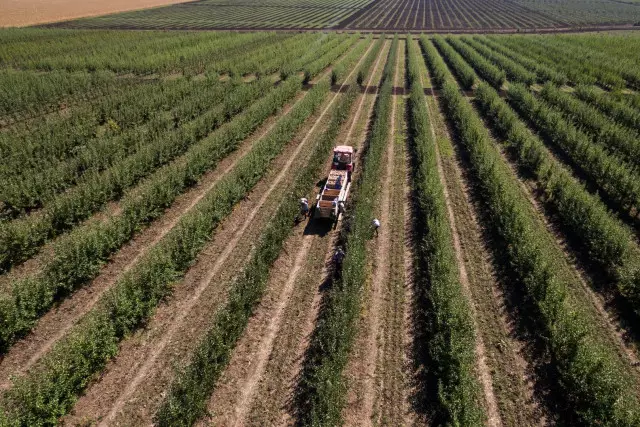 Жерді шетелдіктерге сатуға тыйым сақталады - ресми түсіндірме
