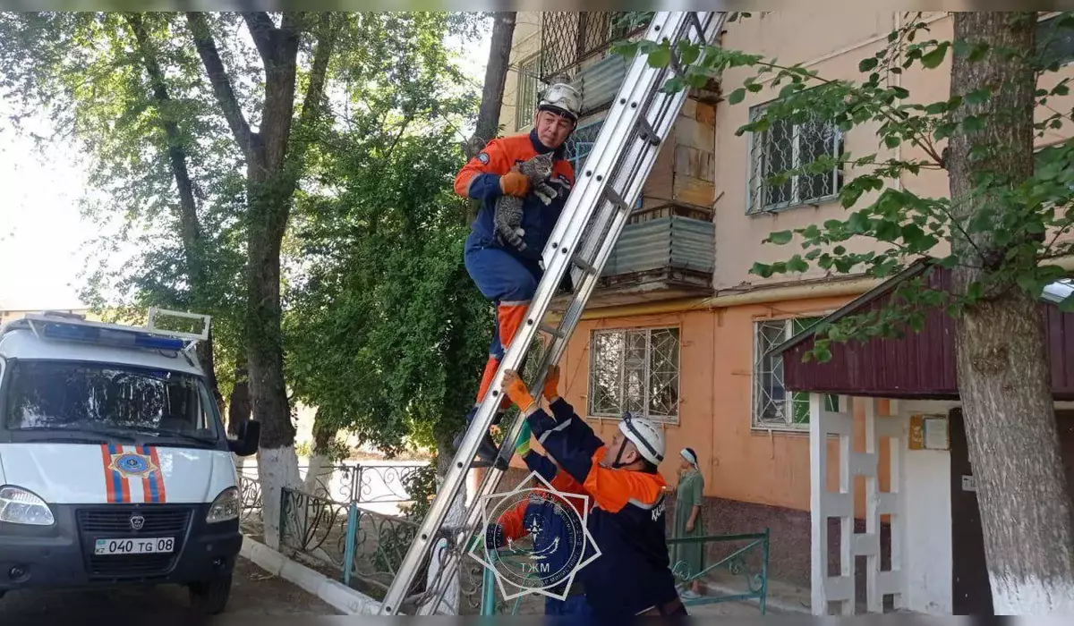 Более 400 животных спасли спасатели МЧС за год