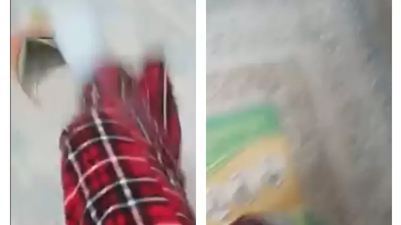 "Ертеңгі күннің жемқоры не масылы". Қоғам белсендісі желіде мектеп оқулығын лақтырып, кітап тепкен оқушыға қатысты жазды