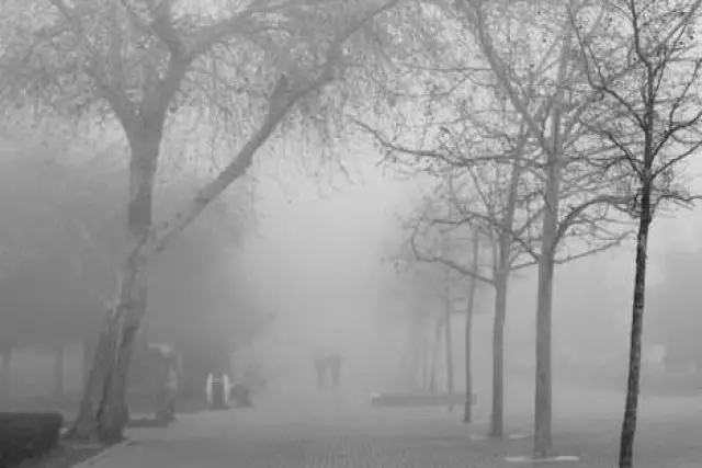 2 ақпанда бірқатар өңірде қар жауып, боран соғады