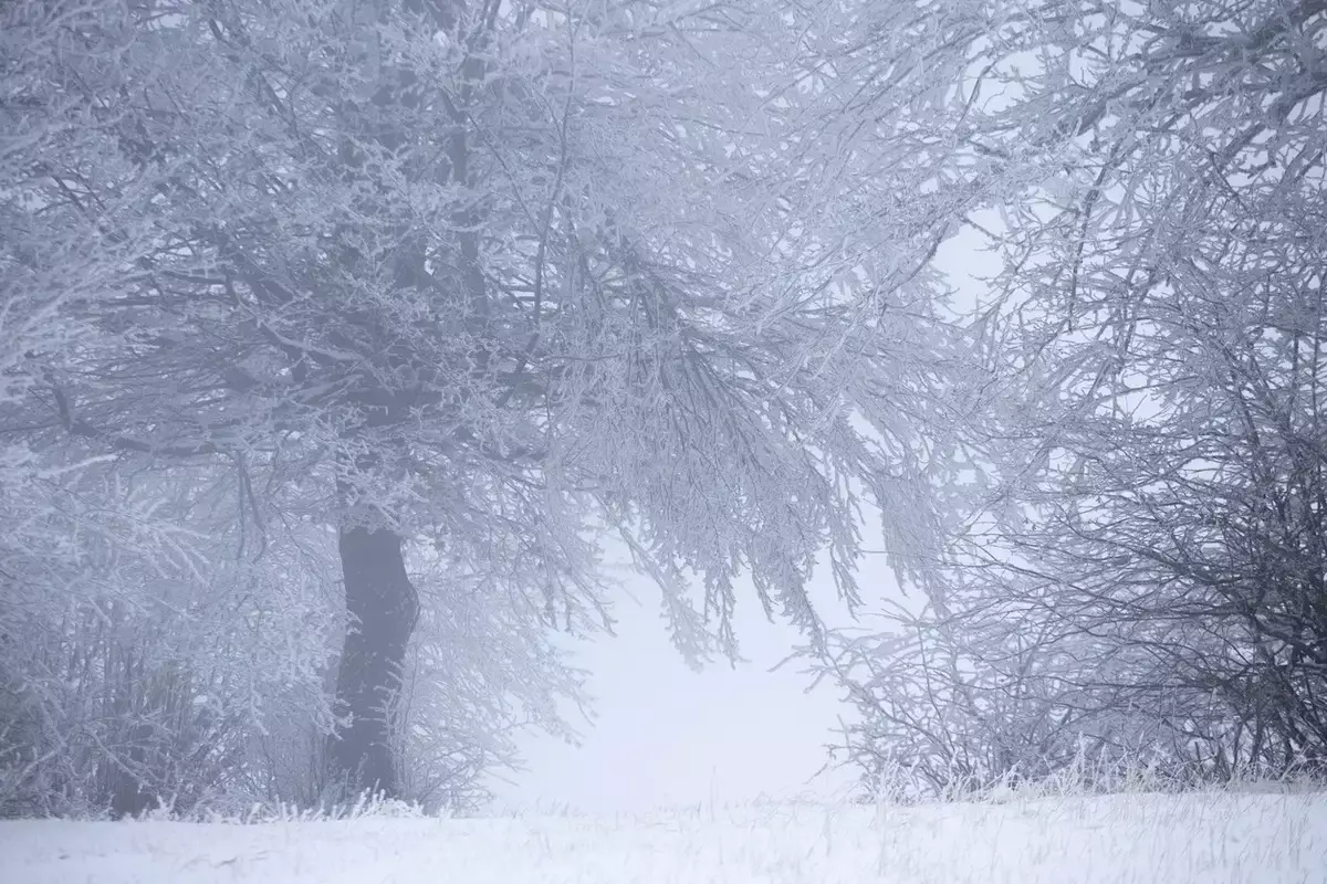 2 ақпанда бірқатар өңірде қар жауып, боран соғады