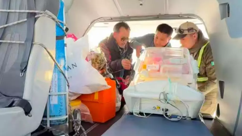 Младенца из Жаркента спасли с помощью вертолета МЧС: видео