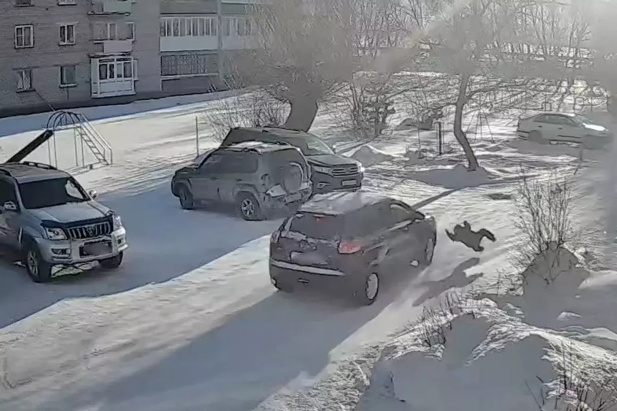 Сбил ребенка и уехал: суд вынес приговор водителю в Риддере