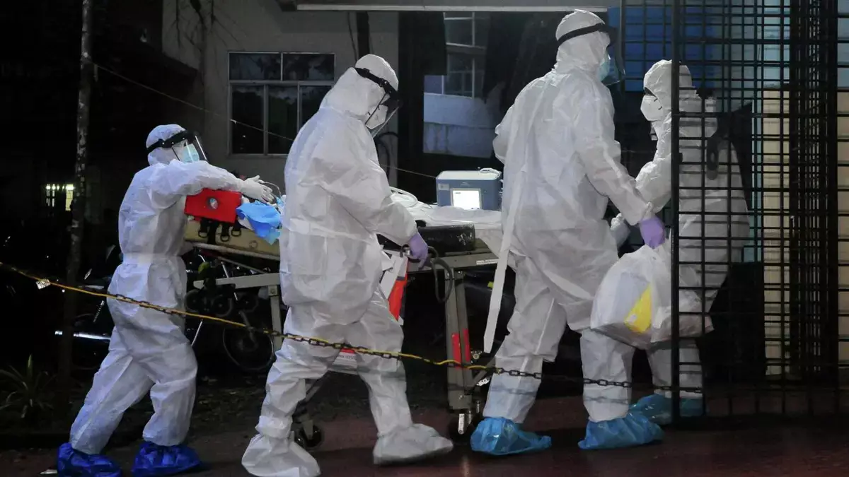 Врач рассказала, что делать, если заподозрил у себя вирус Нипах - новости на Lada.kz 01.02.2026