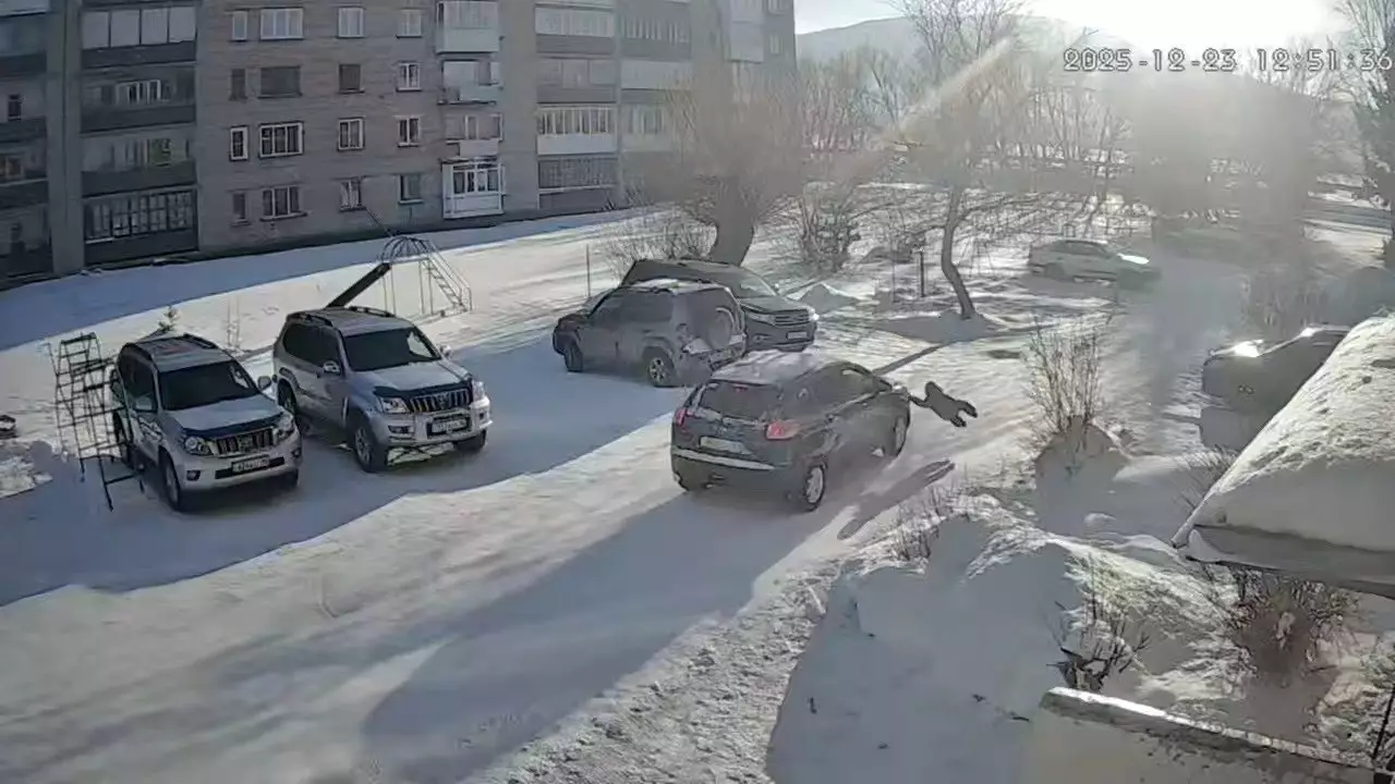 Баланы қағып, қашып кетті: Риддердегі жүргізуші қылмыстық жазадан қалай құтылды?