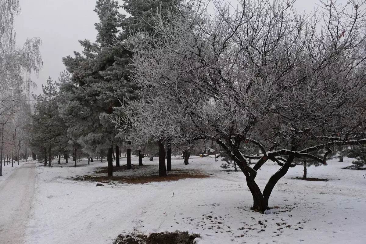 Штормовое предупреждение объявили в 16 регионах Казахстана на 2 февраля