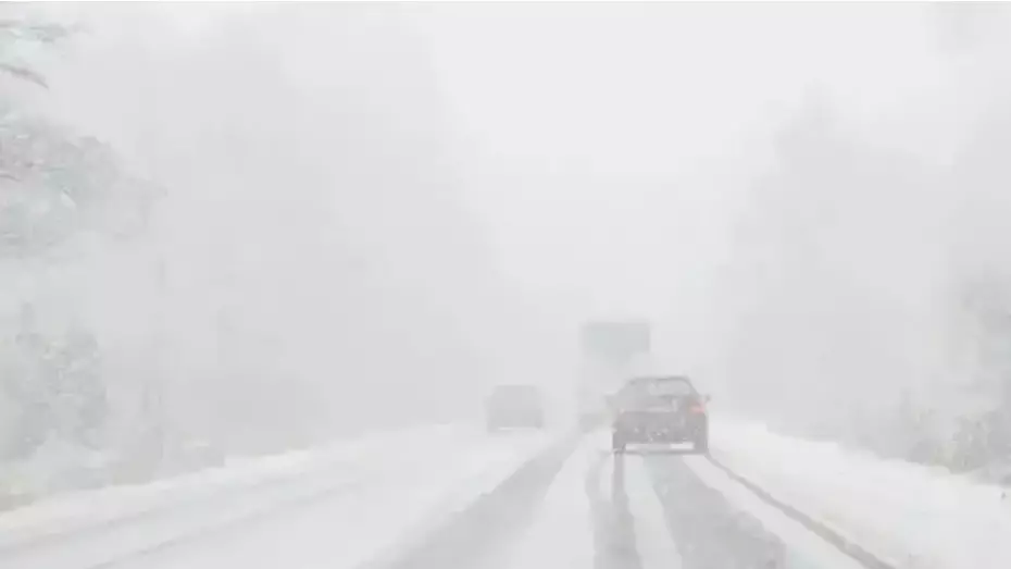 Боран және тұман: 2 ақпанға арналған ауа райы болжамы