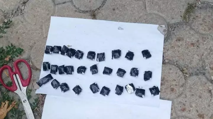 Қызылордада синтетикалық есірткі жарнамалаған 1500 интернет-сайт бұғатталды