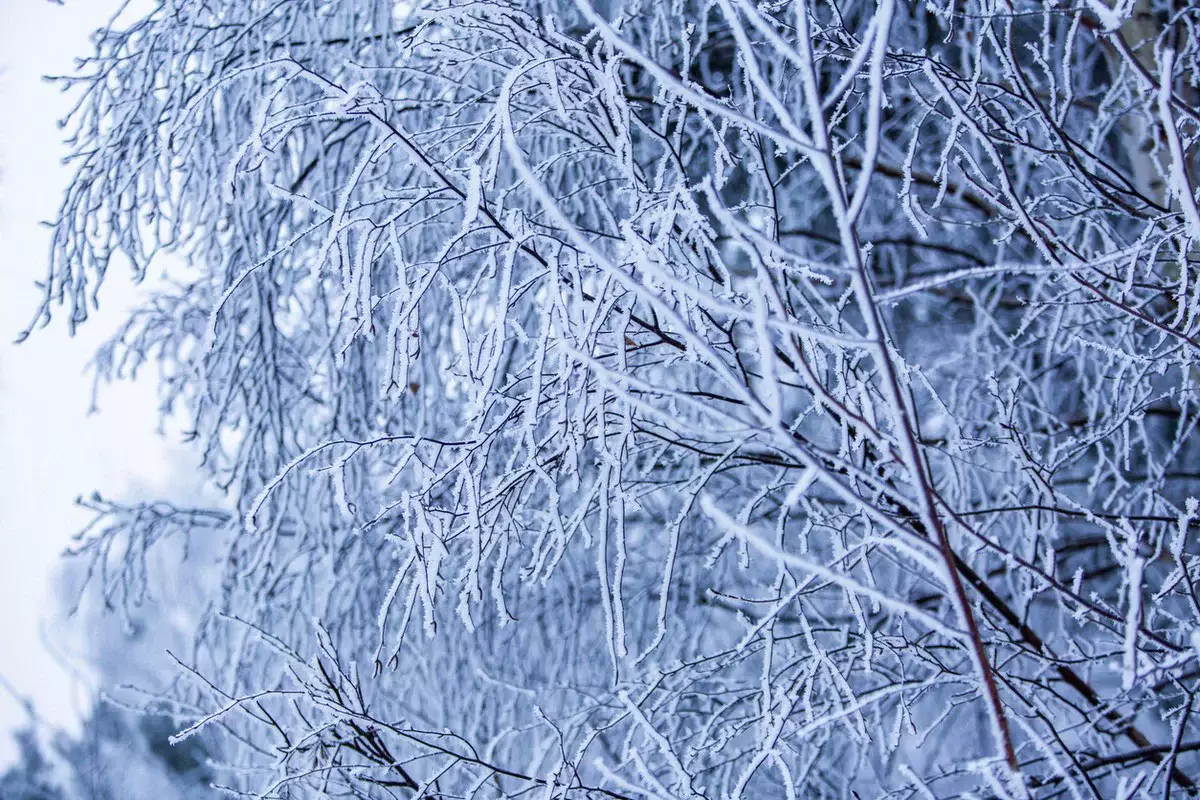 Прогноз погоды в Казахстане на 2 февраля