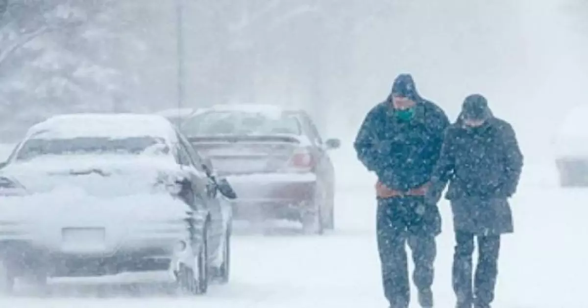  Морозы и снег возвращаются: прогноз погоды в Казахстане 2 февраля 