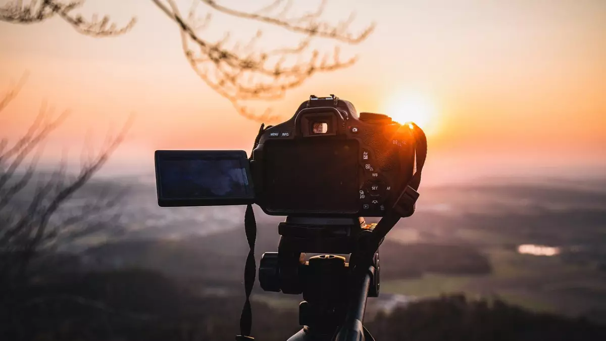 ЖИ себеп: фотографтардың 58% табысынан айырылған