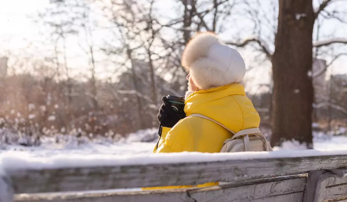 Теплый февраль или морозный? Синоптики дали прогноз по регионам