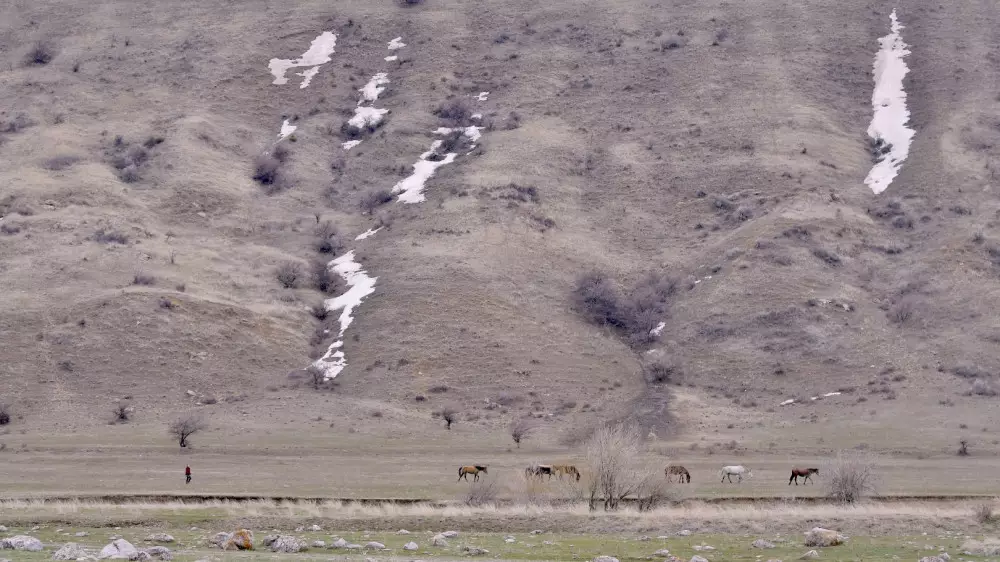 В Казахстане потеплеет до 17 градусов — прогноз погоды