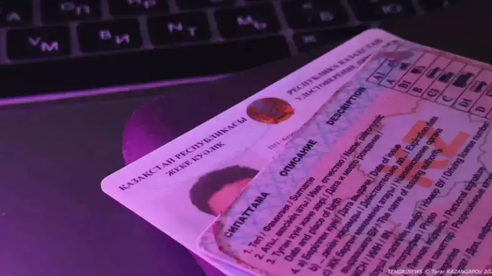 Онлайн автомектеп: ІІМ ескерту жасады