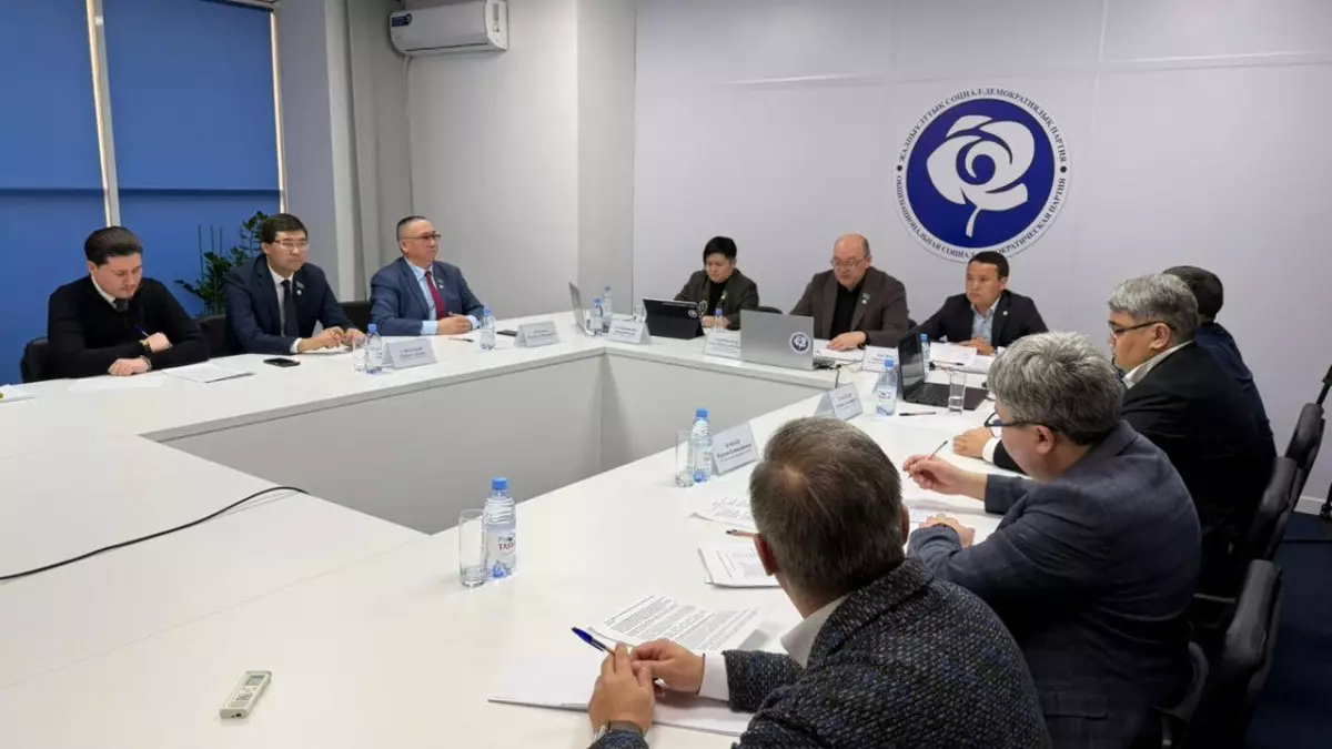 ЖСДП Конституцияның жаңа жобасы бойынша ұстанымын жариялады