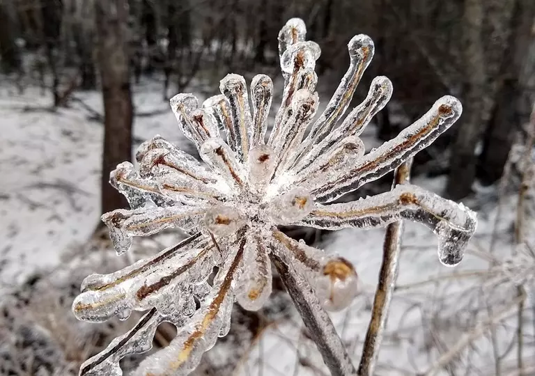Осадки ожидаются в ближайшие трое суток на большей части территории Казахстана