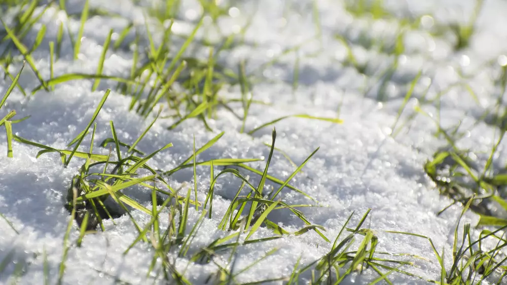 До +10: Астану и Алматы ждёт потепление