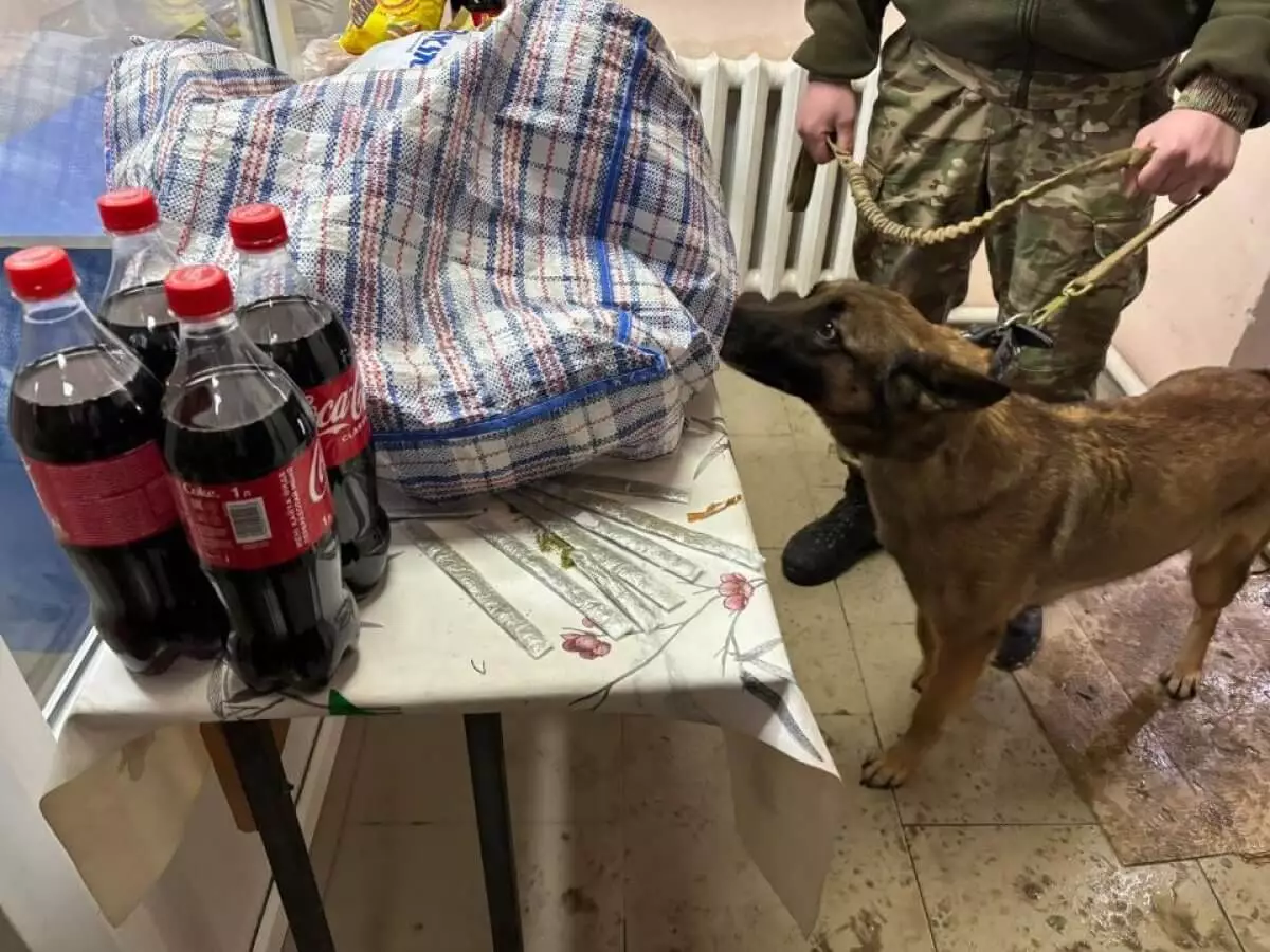 Наркотики нашли в ремне сумки при досмотре передачи в колонии Кызылорды