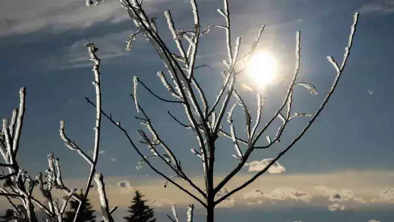 Cиноптиктер ақпан айына арналған ауа райы болжамын жасады