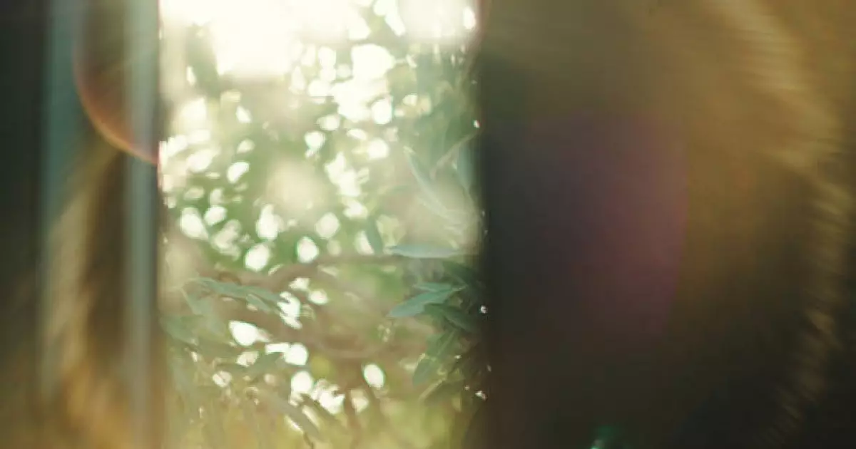  Ғалымдар күн сәулесінің көңіл күйге қалай әсер ететінін түсіндірді 