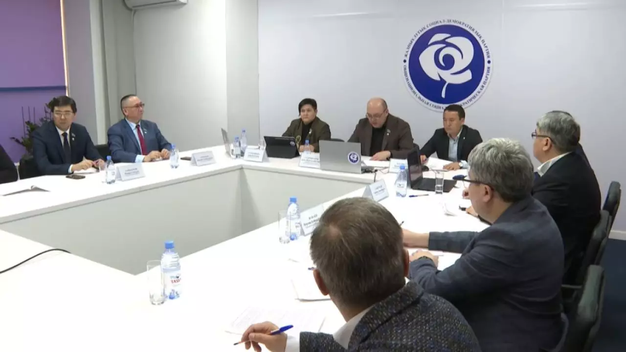 Проект новой Конституции обсудили в Общенациональной социал-демократической партии