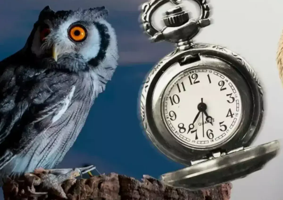 «Сов» предупредили о неочевидной опасности позднего засыпания - новости на Lada.kz 02.02.2026