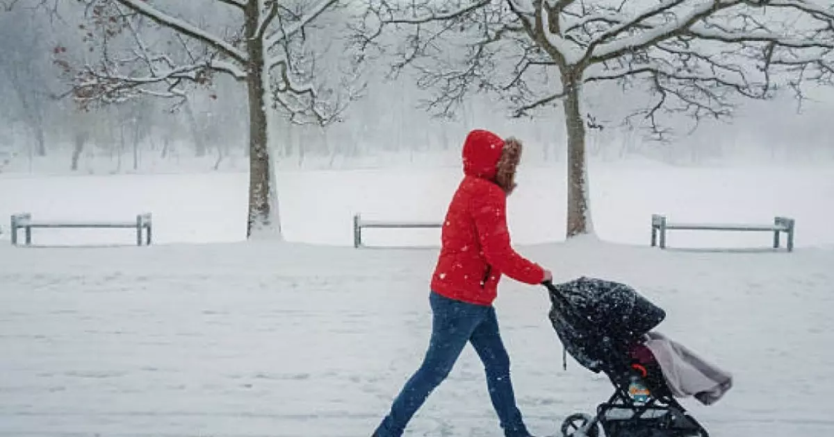  Көктайғақ, тұман: 3 ақпанға ауа райы болжамы 