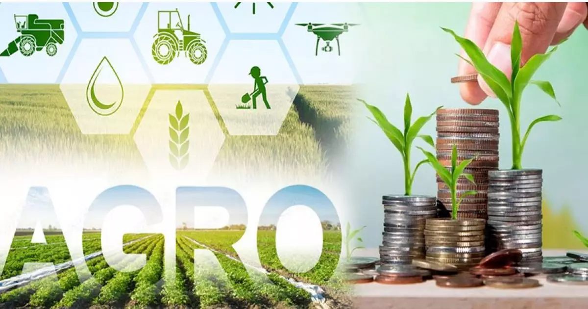   Субсидиядағы секем   