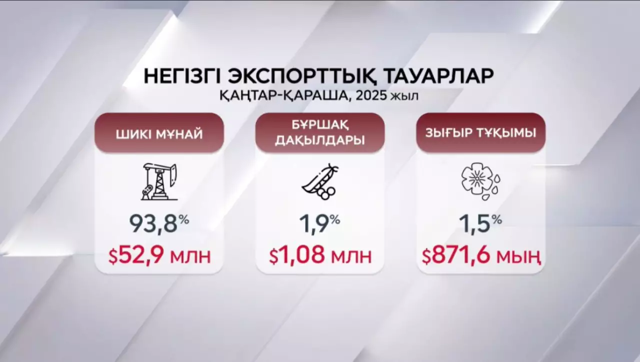 2025 жылы Пәкістан елімізден 53 млн долларға мұнай сатып алды