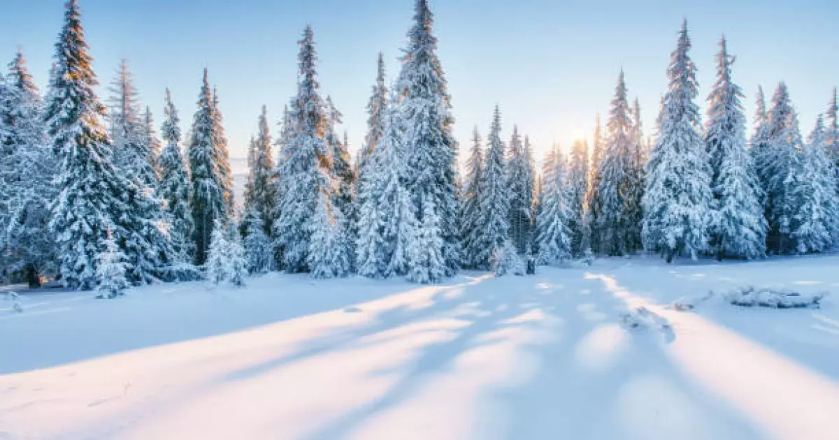   Еліміздің көптеген өңірлерінде тұман болжануда   
