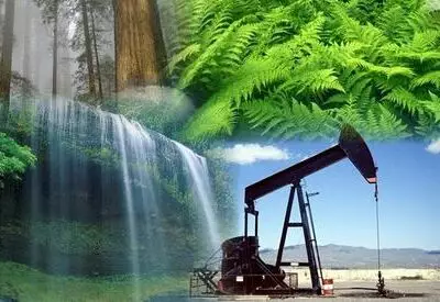 Природные богатства вывозили за границу: ущерб на 2 млрд тенге