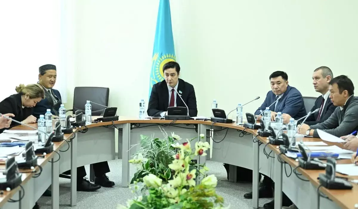 В Мажилисе обсудили налоговые условия для организаций лиц с инвалидностью