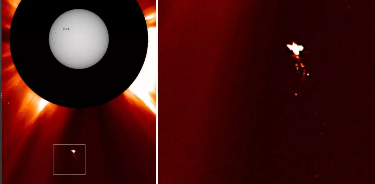 Похожий на птицу объект снова заметили на Солнце