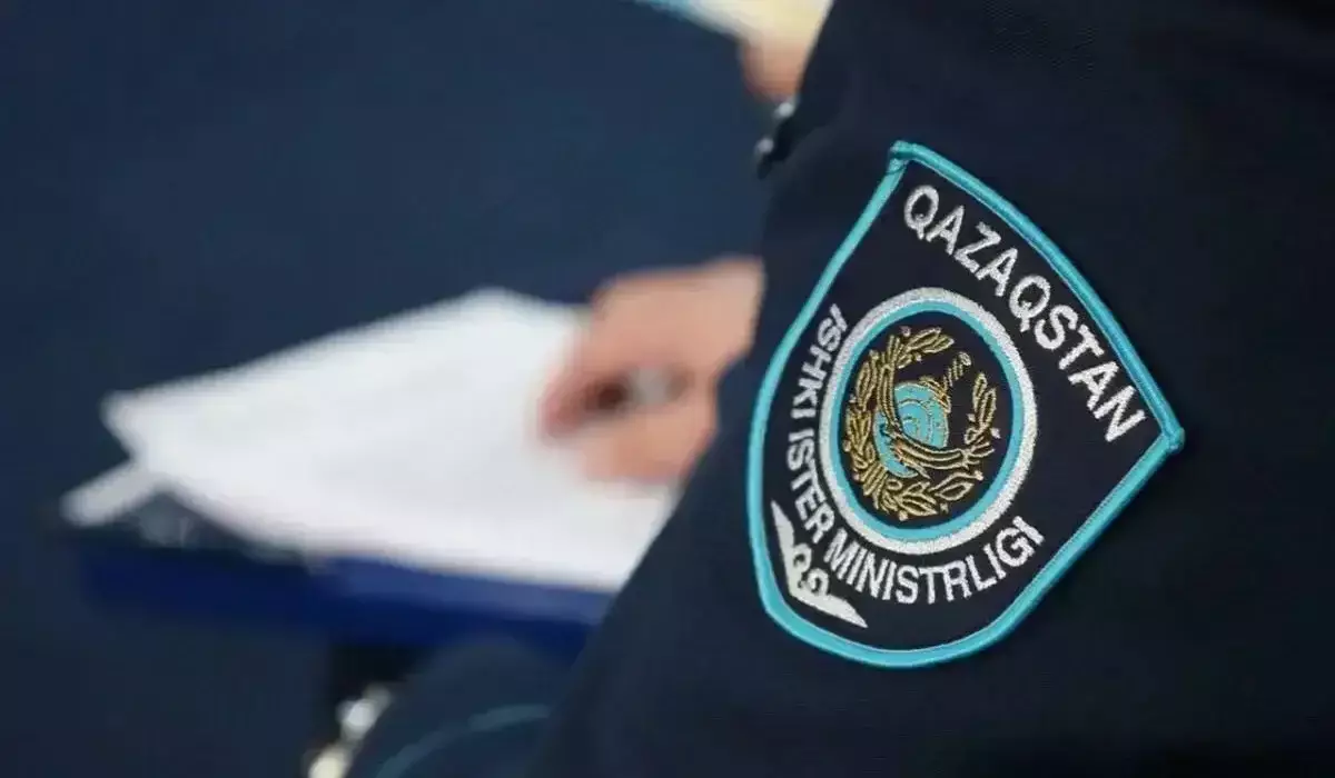 Конституцияның жобасына қатысты жалған ақпарат таратқандар қалай жазаланады - ІІМ түсіндірді