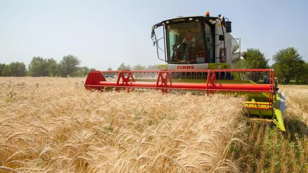 Қазақстан Азияға астық жеткізу көлемін екі есеге арттырды