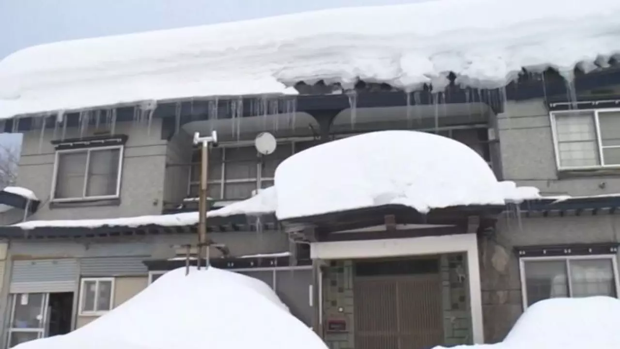 Снегопады в Японии: погибли 30 человек