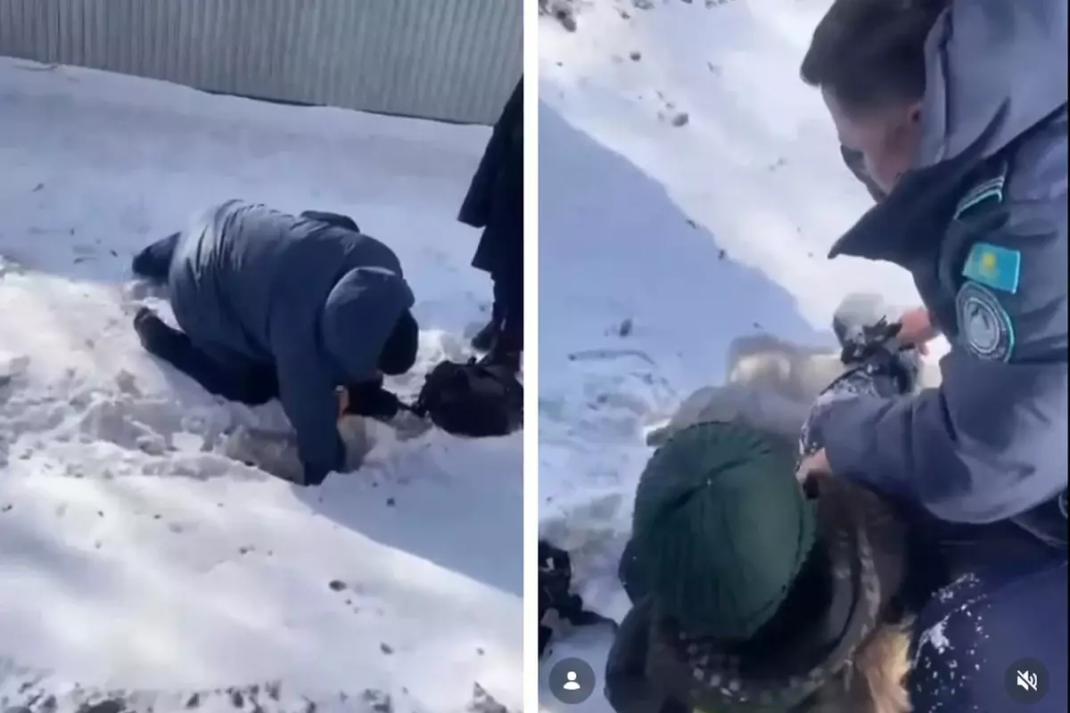 Шестилетний мальчик провалился в арык с водой в Кокшетау