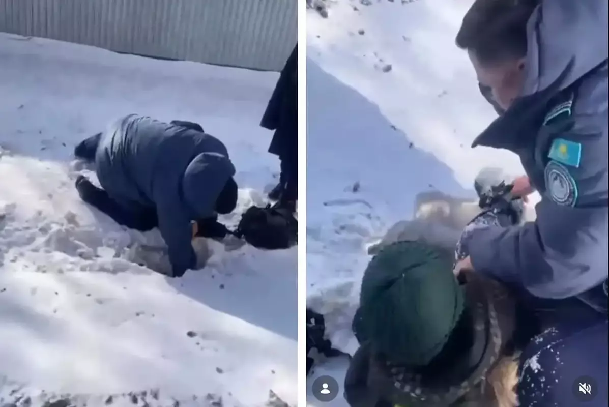 Шестилетний мальчик упал в арык с водой в Кокшетау