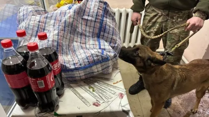 Сотталған азаматқа сөмке бауына жасырып есірткі өткізбек болды