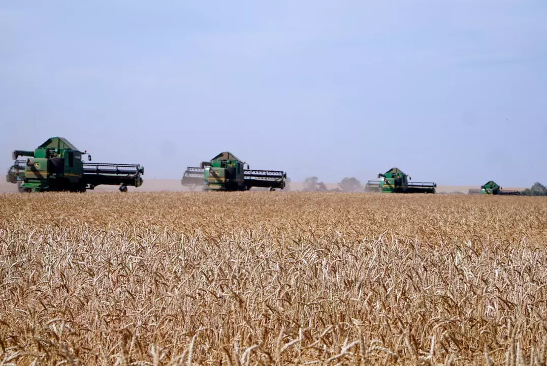Казахстан переходит к прогрессивной агроэкономике