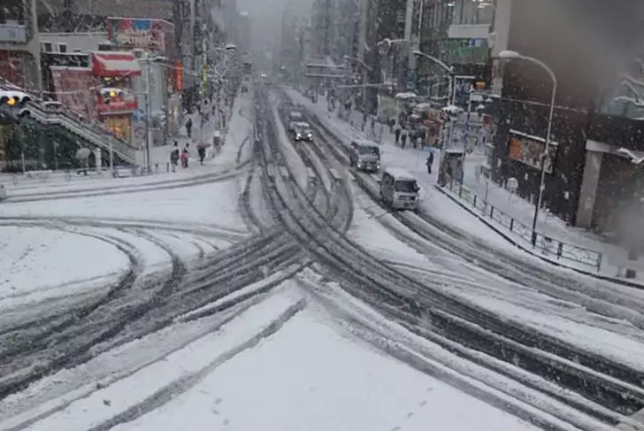 В Японии в результате снегопадов погибли не менее 35 человек