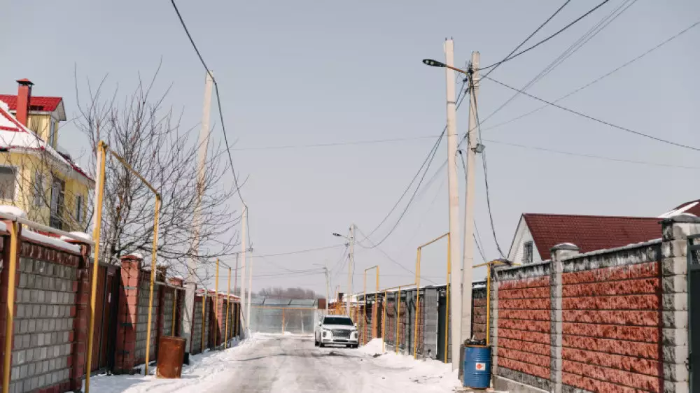 Алматыда 300 отбасы билікке үндеу жасады