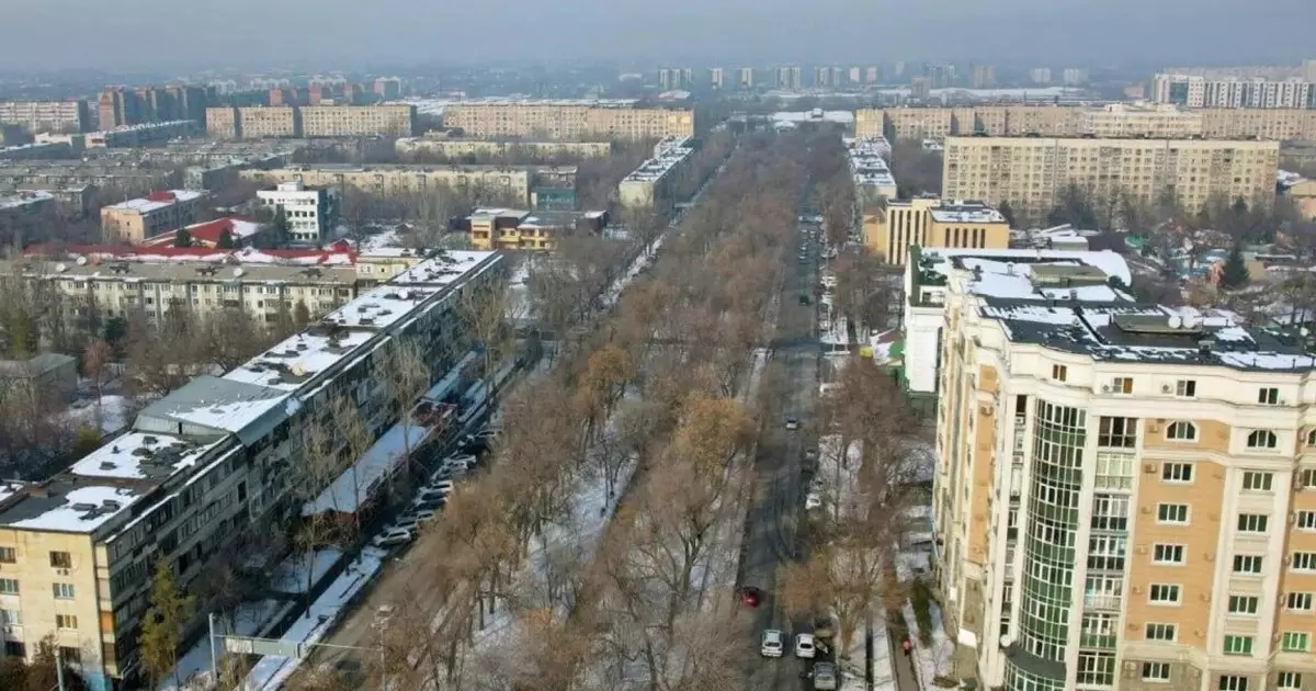  Алматылық 300 отбасы үйлелін күреуге қарсы 