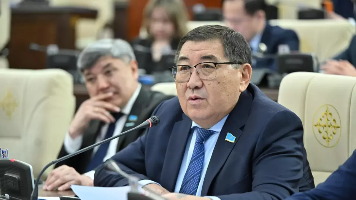 Сырттағы соқтықпалы-соқпақты жолды сырбаз саясатпен жүріп өтуден басқа альтернатива жоқ – Бәпи