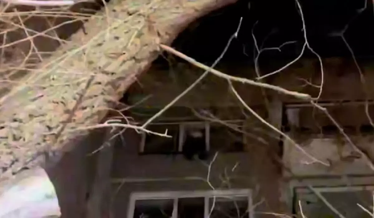 Қарағандыда 8 жасар қыз бала 5-қабатта терезенің сыртқы жақтауына шығып алған (ВИДЕО)