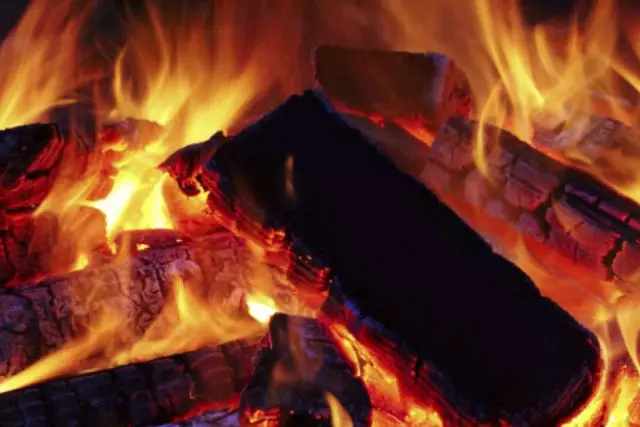 "Бесікте сәби жатқан": Алматы облысында бір әулеттен төрт адам қаза тапты