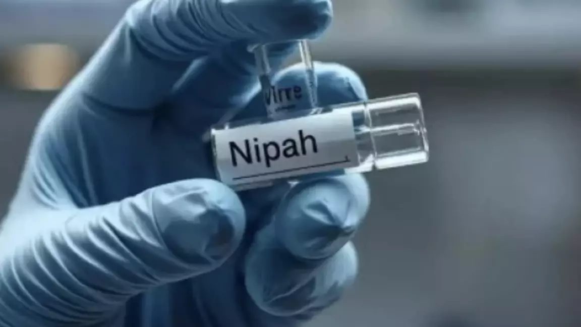 Арты өлімге әкеп соғатын Нипах вирусы: азаматтарға маңызды ескерту жасалды