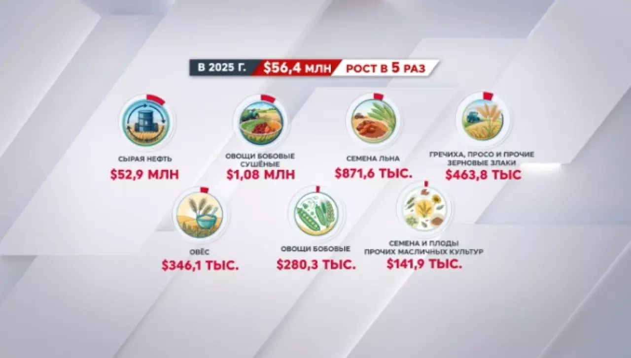 Экспорт из Казахстана в Пакистан вырос в 5 раз